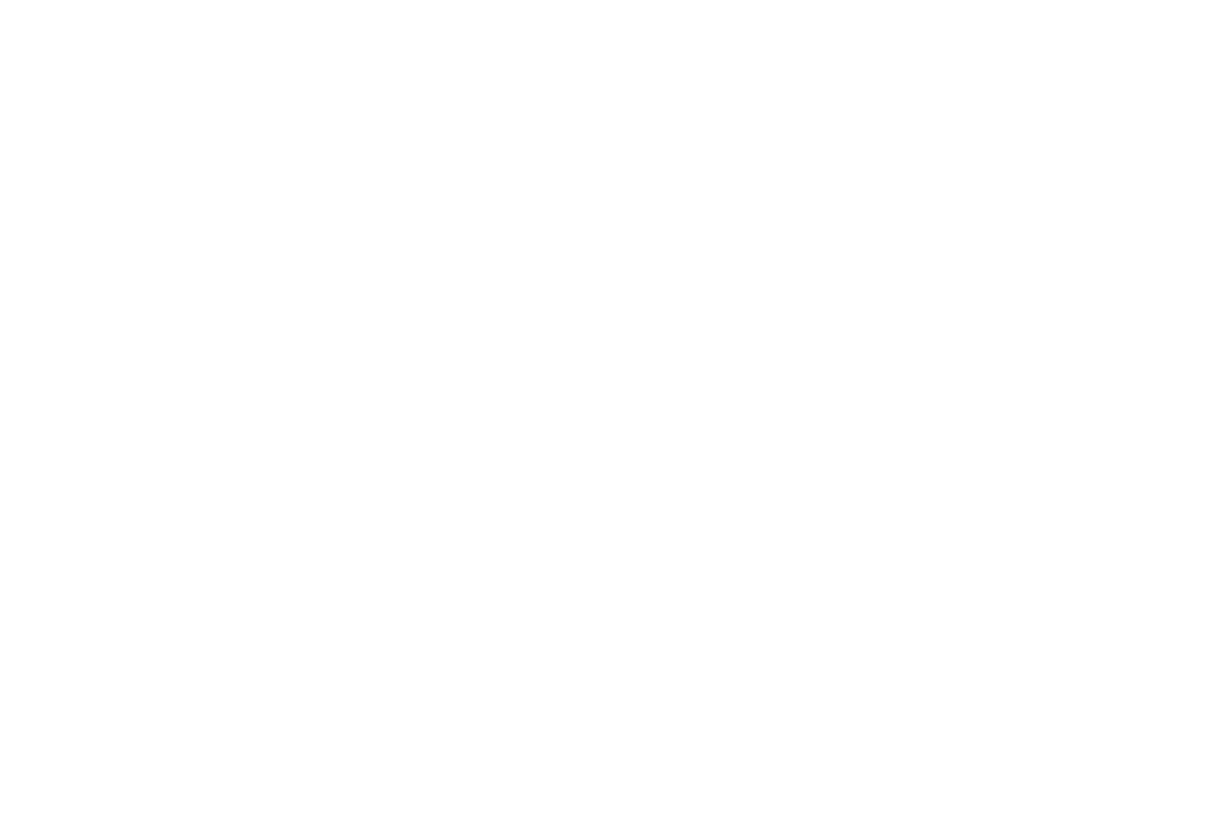 mucca-1