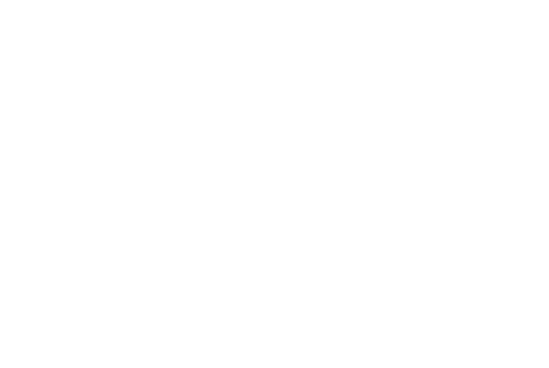 mucca-1 mucca-1
